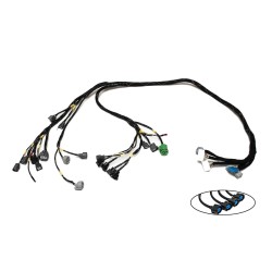 OBD1 D/B Engine Harness